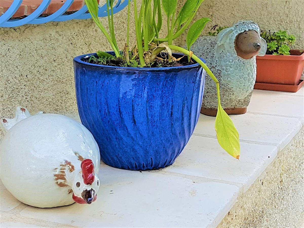 B&B With Charm, Quiet, Kitchen, Sw Pool. Grasse Esterno foto